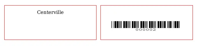 Image showing two labels, the first one has the name of the library printed on it and the second one contains the barcode