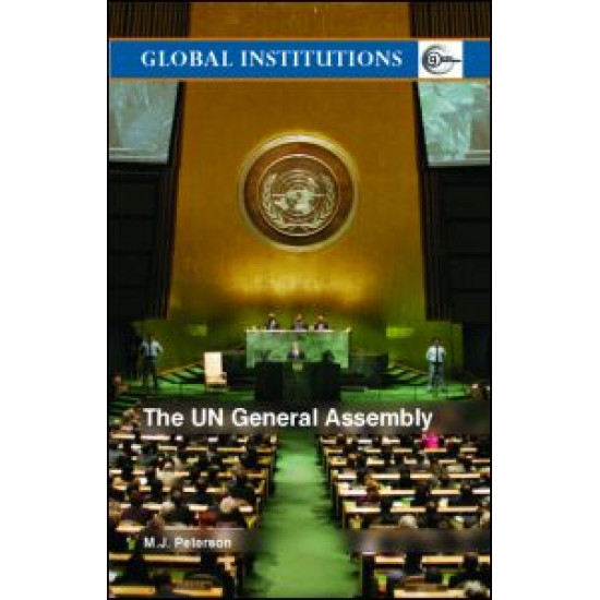 The UN General Assembly