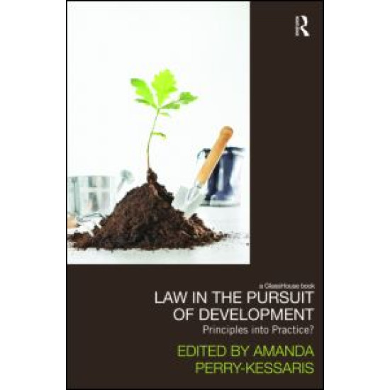 Law in the Pursuit of Development