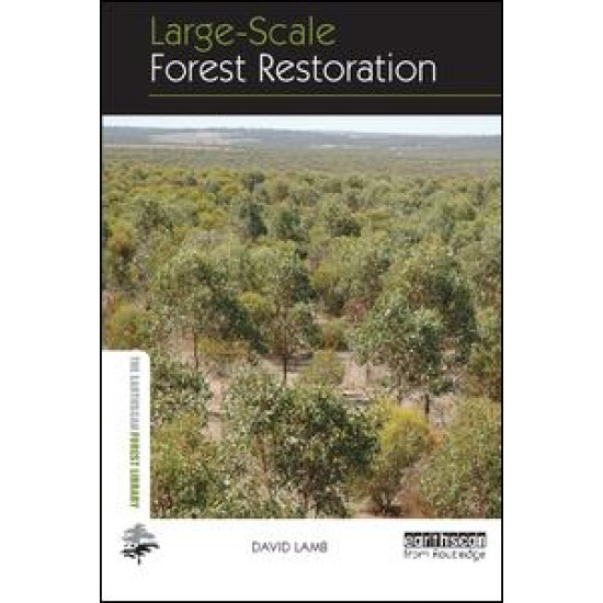 Large-scale Forest Restoration