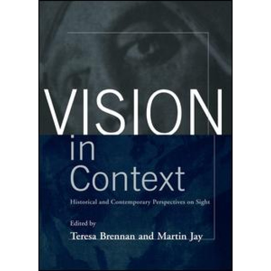 Vision in Context