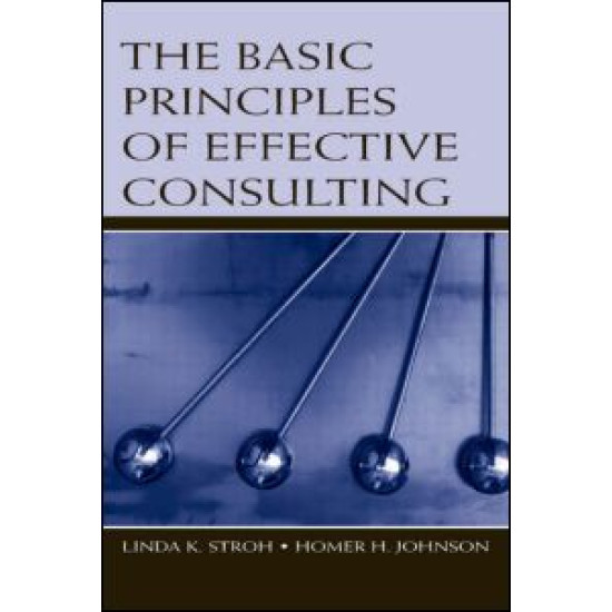 The Basic Principles of Effective Consulting