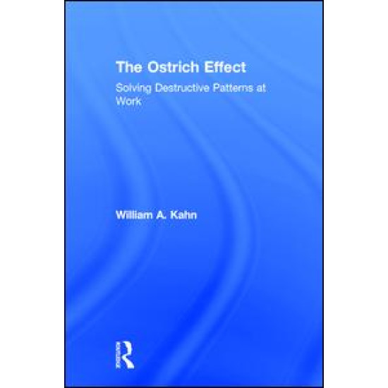 The Ostrich Effect