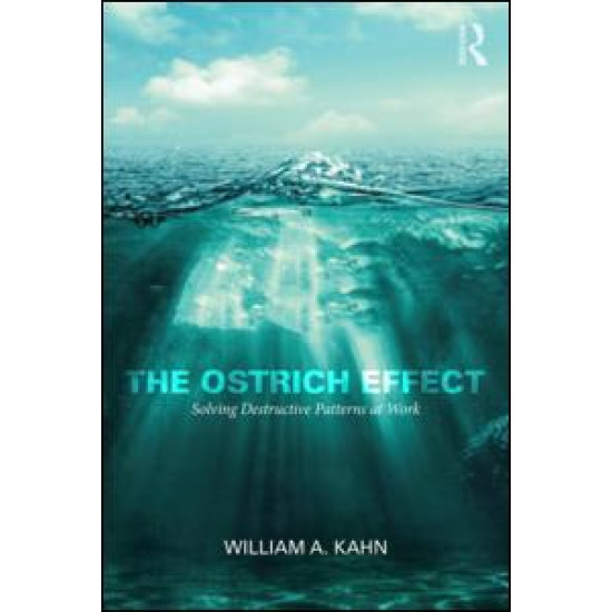 The Ostrich Effect