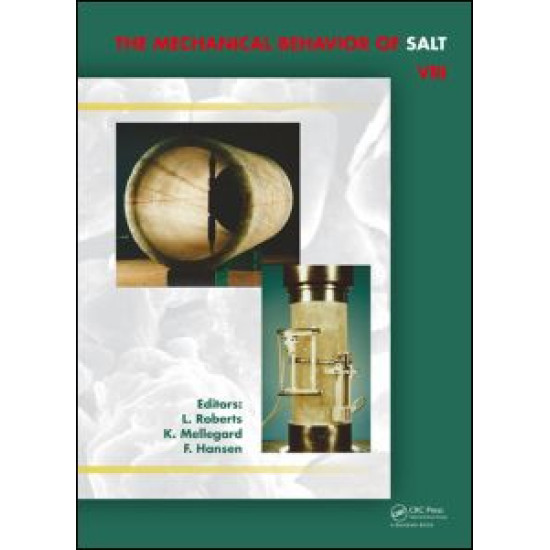 Mechanical Behaviour of Salt VIII