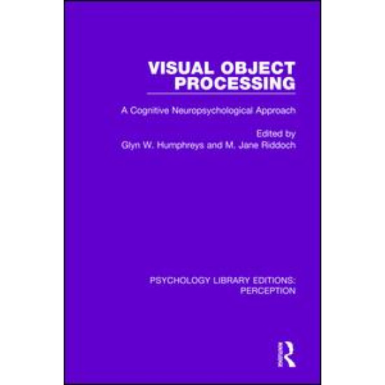 Visual Object Processing