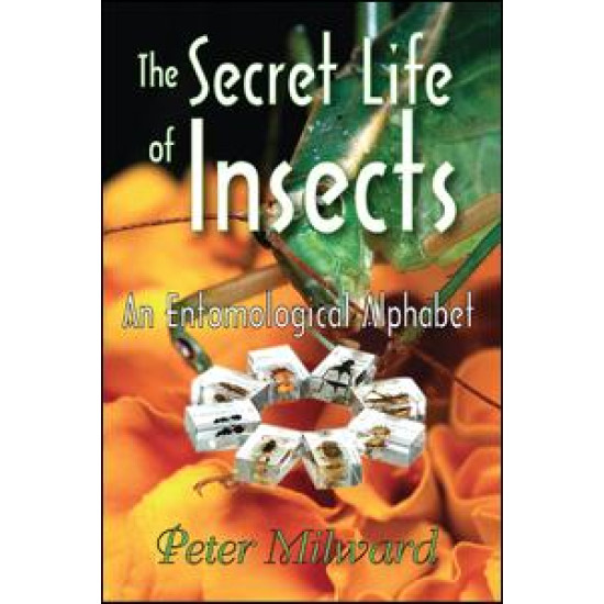The Secret Life of Insects