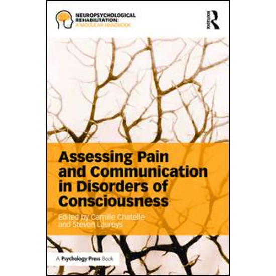 Assessing Pain and Communication in Disorders of Consciousness
