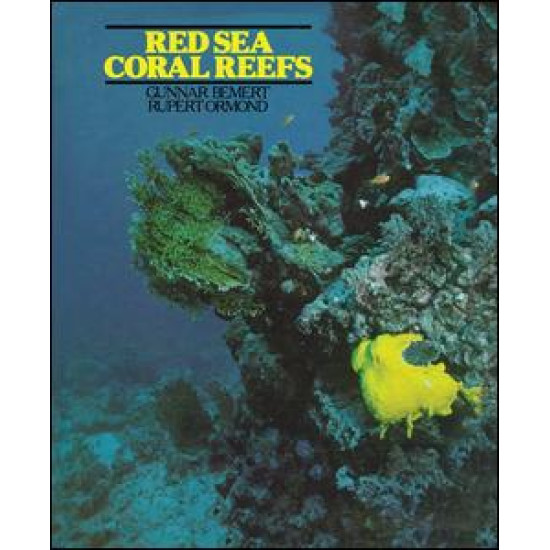 Red Sea Coral Reefs