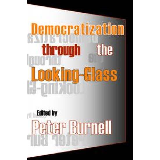 Democratization Through the Looking-glass