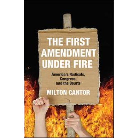 First Amendment Under Fire