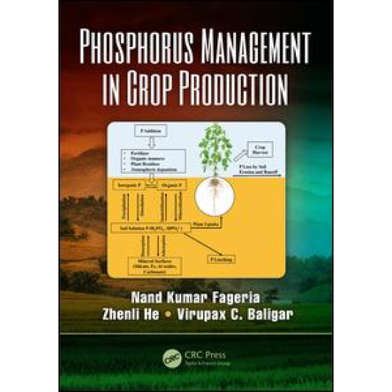 Phosphorus Management in Crop Production