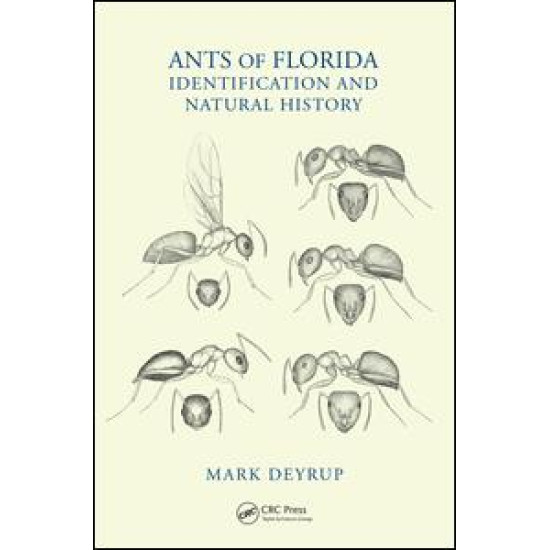 Ants of Florida