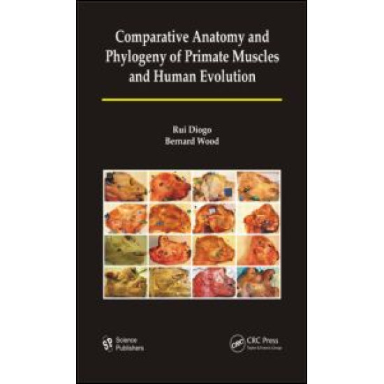 Comparative Anatomy and Phylogeny of Primate Muscles and Human Evolution