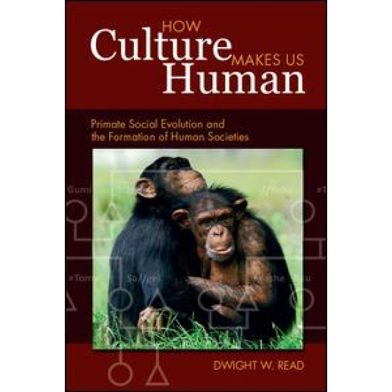 How Culture Makes Us Human