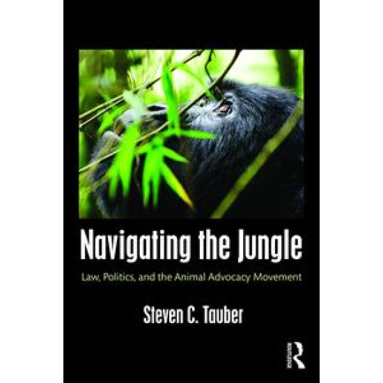 Navigating the Jungle